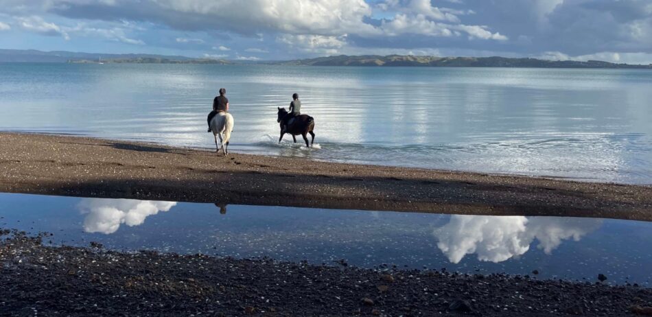Waiheke Horse Tours – Guided Horseback Adventures